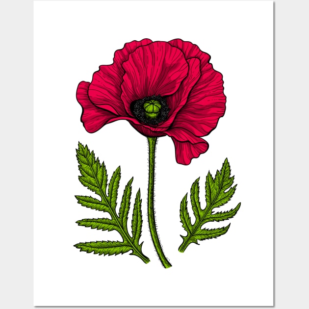 Red poppy Wall Art by katerinamk